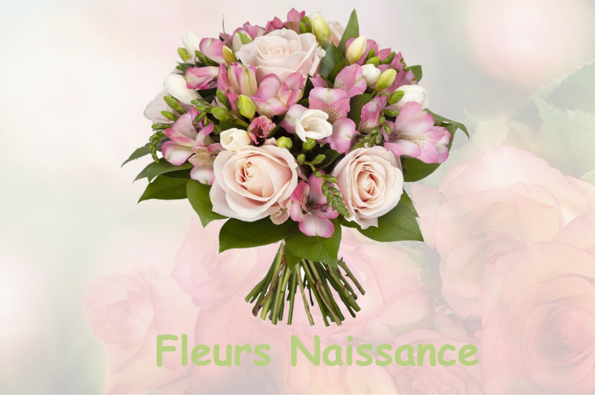 fleurs naissance BELIS