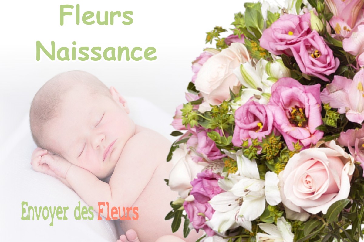 lIVRAISON FLEURS NAISSANCE à BELIS